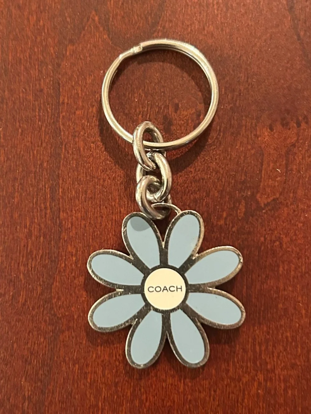 Coach Y2K Enamel Daisy Charm and Silk Pony/Bag 22” Skinny Scarf